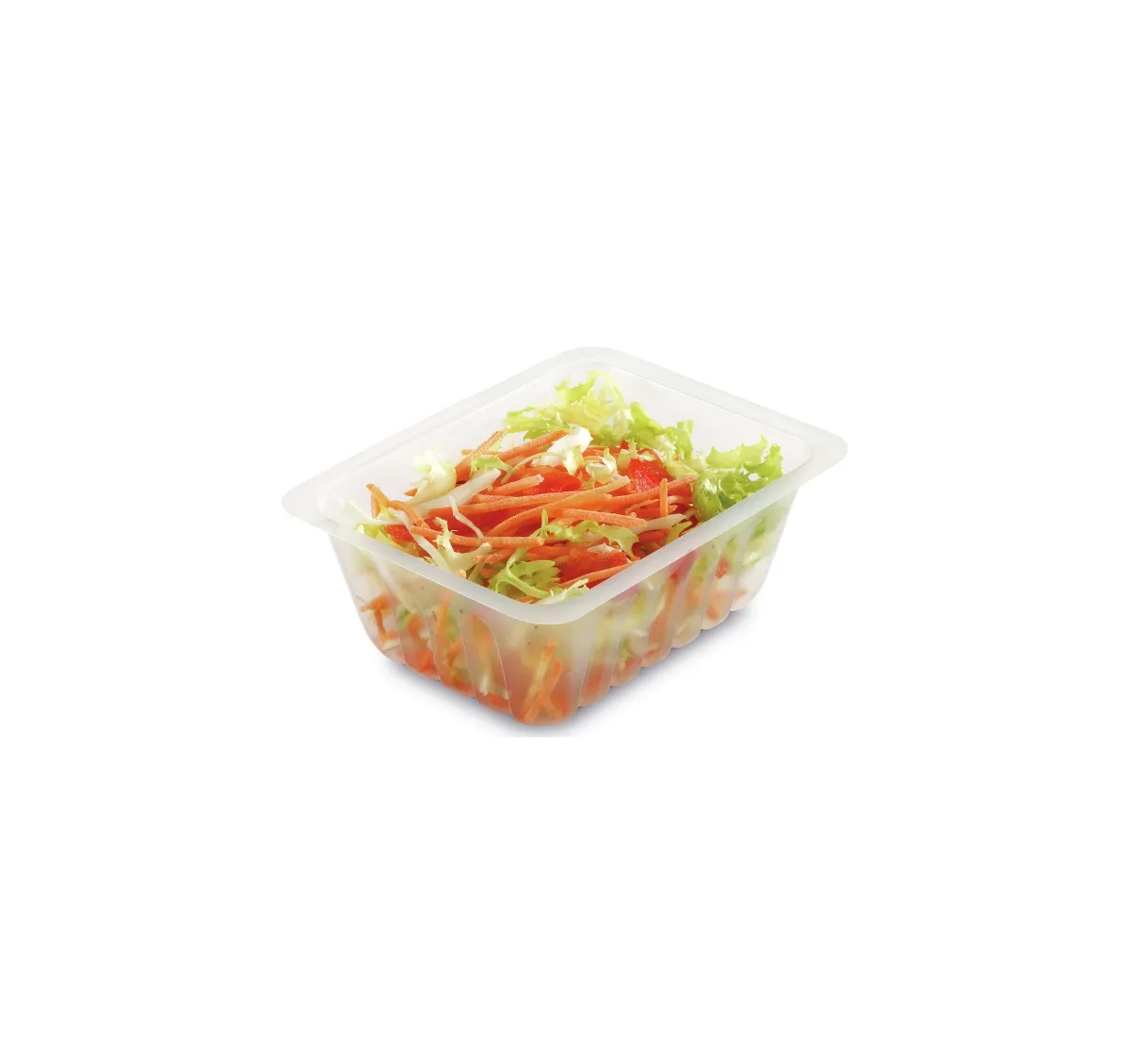 3000 Barquettes Charcutières 250g