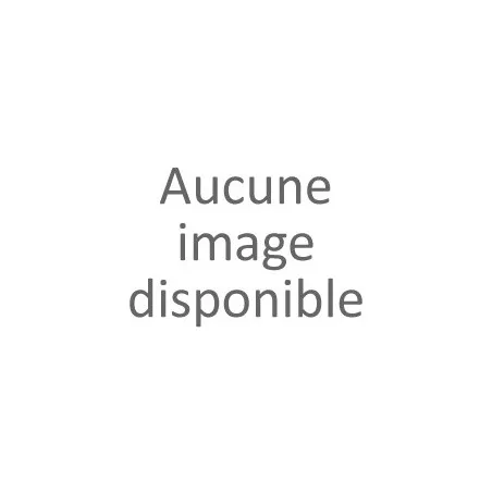 Mule plate rose dorée femme (36-41)