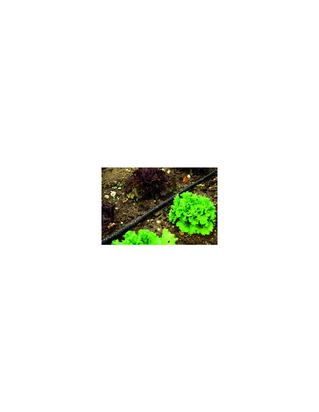 TUYAU MICRO PEARL D12,5 L.50M CAP VERT 95400.30550.02551